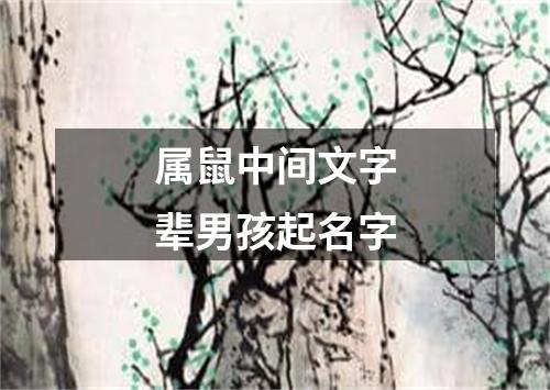 属鼠中间文字辈男孩起名字