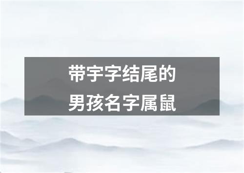 带宇字结尾的男孩名字属鼠