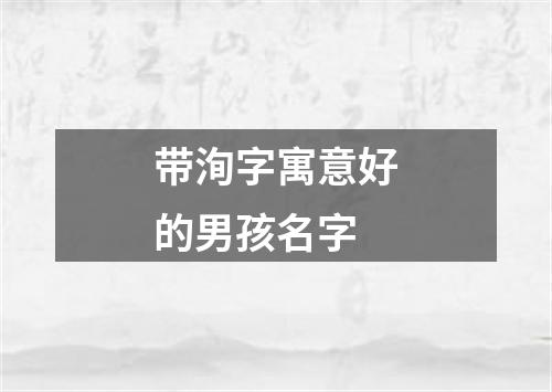 带洵字寓意好的男孩名字