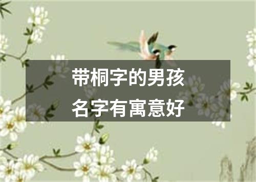 带桐字的男孩名字有寓意好