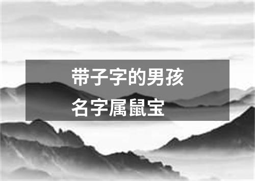 带子字的男孩名字属鼠宝