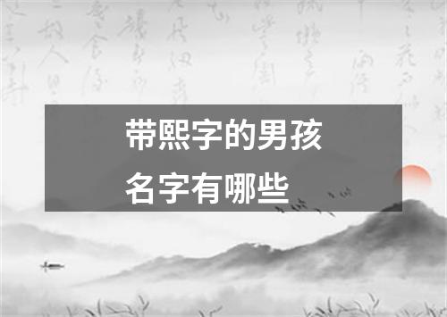 带熙字的男孩名字有哪些