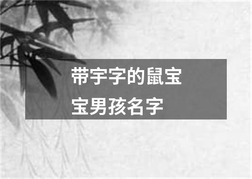 带宇字的鼠宝宝男孩名字