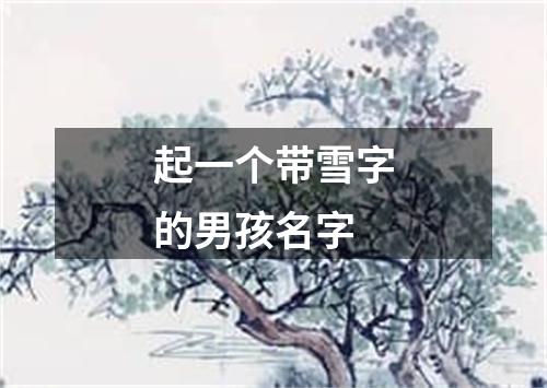 起一个带雪字的男孩名字