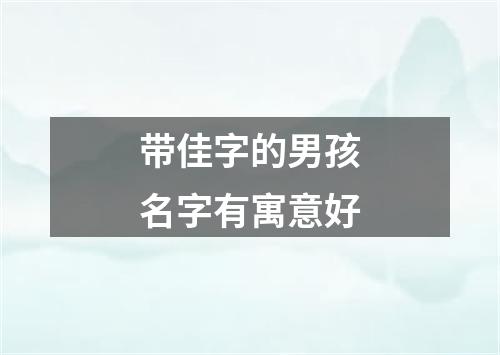 带佳字的男孩名字有寓意好