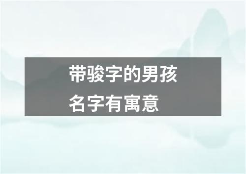 带骏字的男孩名字有寓意