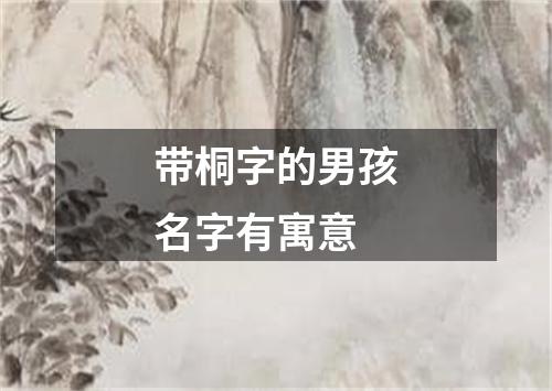 带桐字的男孩名字有寓意