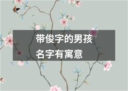 带俊字的男孩名字有寓意