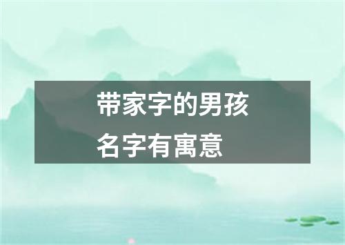 带家字的男孩名字有寓意