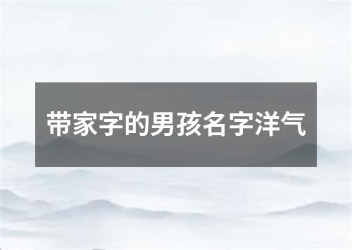 带家字的男孩名字洋气