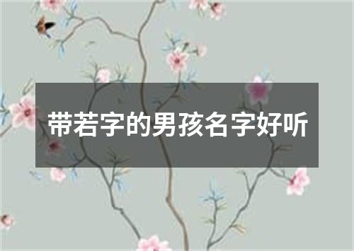 带若字的男孩名字好听