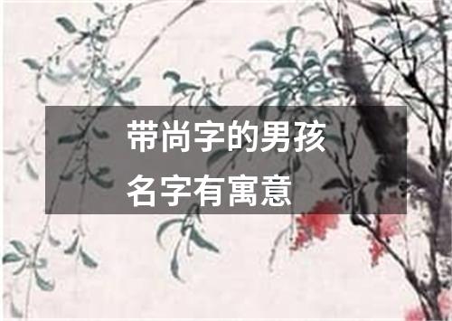 带尚字的男孩名字有寓意