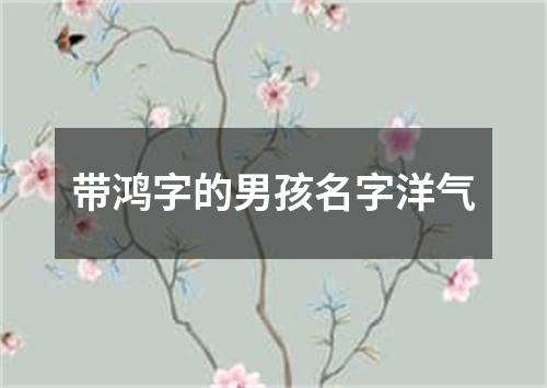 带鸿字的男孩名字洋气