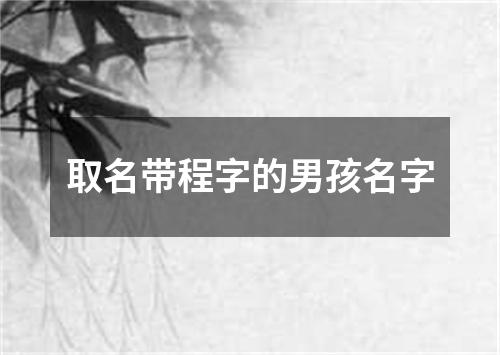 取名带程字的男孩名字