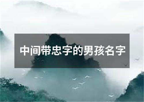 中间带忠字的男孩名字