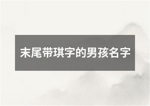 末尾带琪字的男孩名字