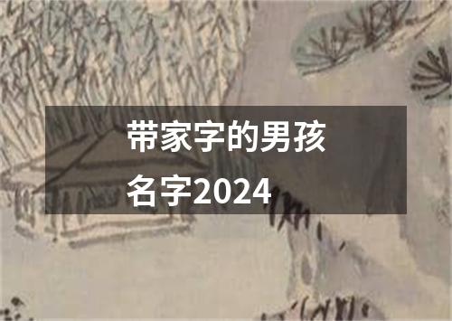 带家字的男孩名字2024