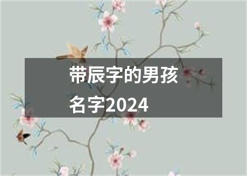 带辰字的男孩名字2024