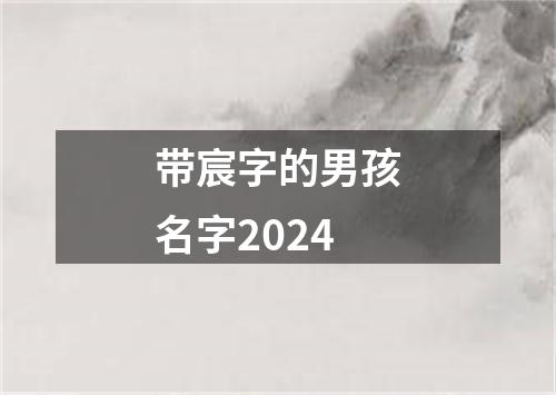 带宸字的男孩名字2024