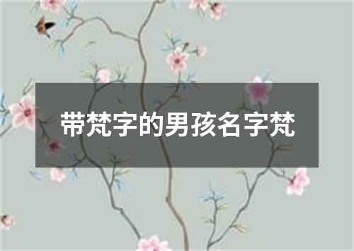 带梵字的男孩名字梵