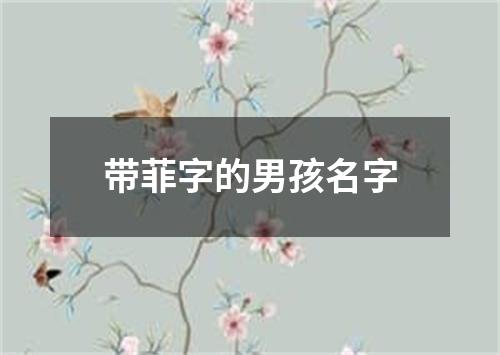 带菲字的男孩名字