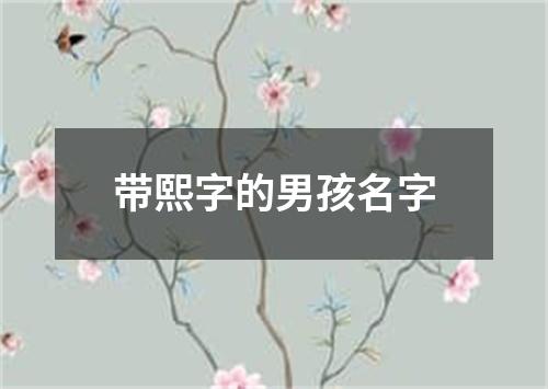 带熙字的男孩名字