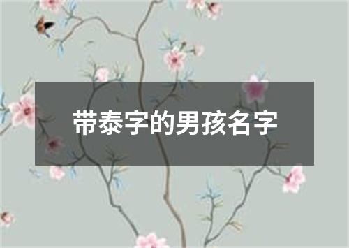 带泰字的男孩名字