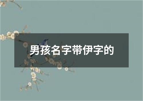 男孩名字带伊字的