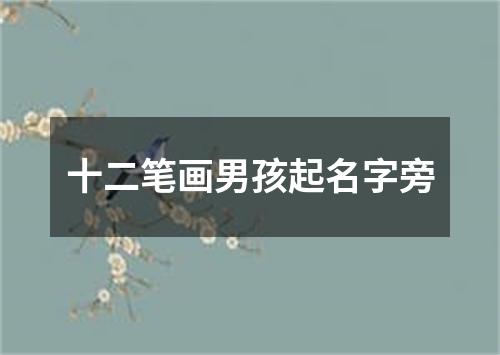 十二笔画男孩起名字旁