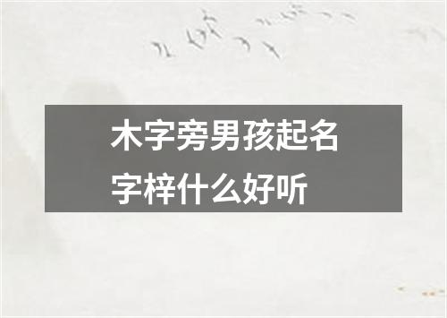 木字旁男孩起名字梓什么好听