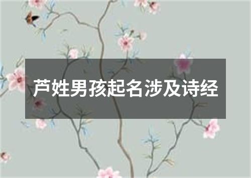 芦姓男孩起名涉及诗经