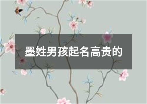 墨姓男孩起名高贵的