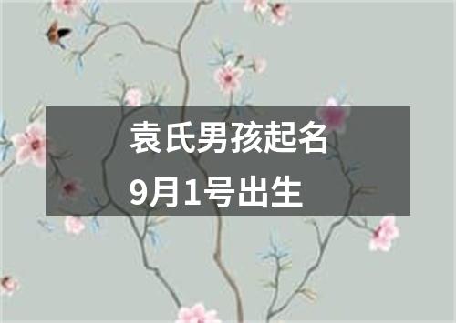 袁氏男孩起名9月1号出生