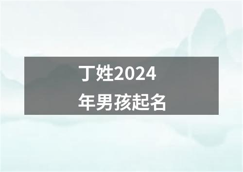 丁姓2024年男孩起名