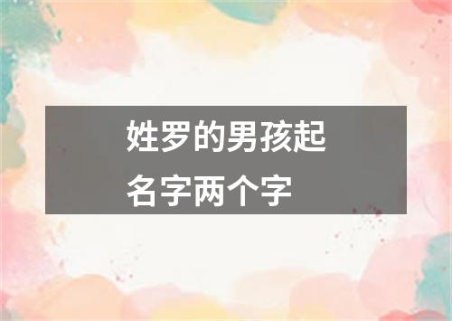 姓罗的男孩起名字两个字