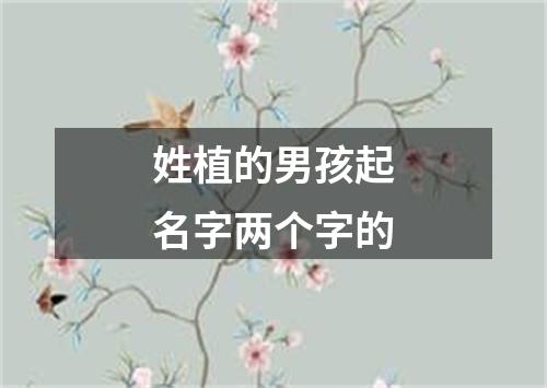 姓植的男孩起名字两个字的