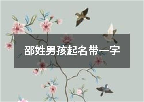 邵姓男孩起名带一字