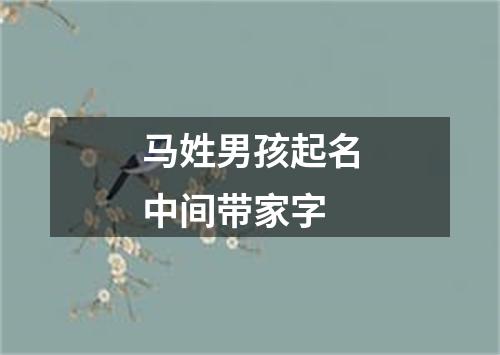 马姓男孩起名中间带家字