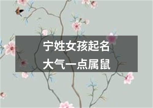 宁姓女孩起名大气一点属鼠