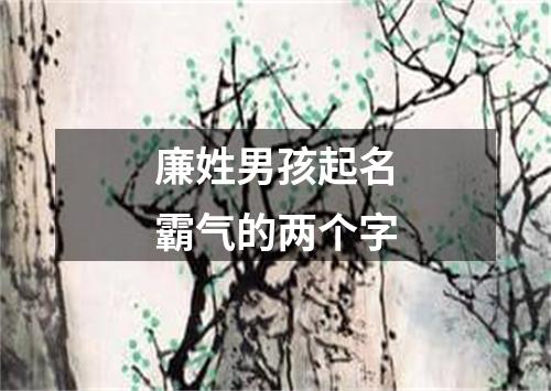 廉姓男孩起名霸气的两个字