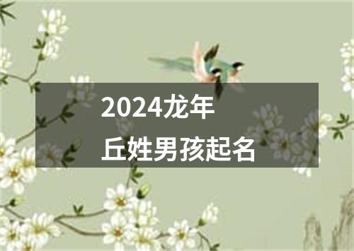 2024龙年丘姓男孩起名