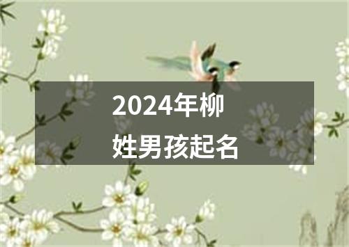 2024年柳姓男孩起名