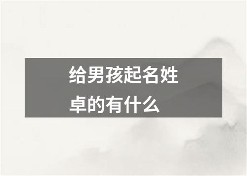 给男孩起名姓卓的有什么