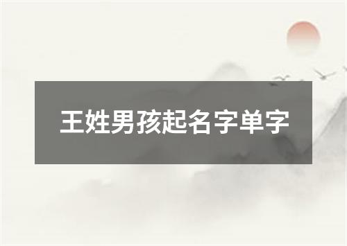 王姓男孩起名字单字