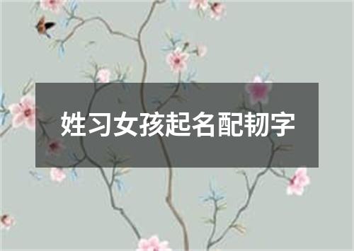 姓习女孩起名配韧字