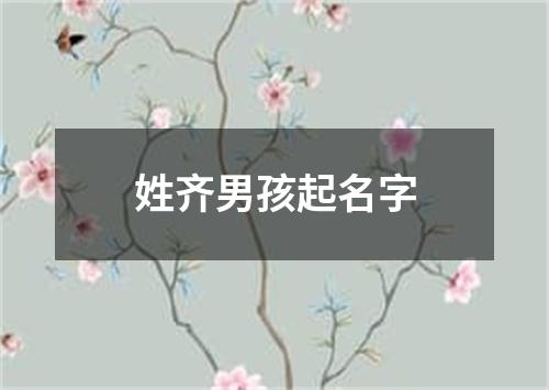 姓齐男孩起名字