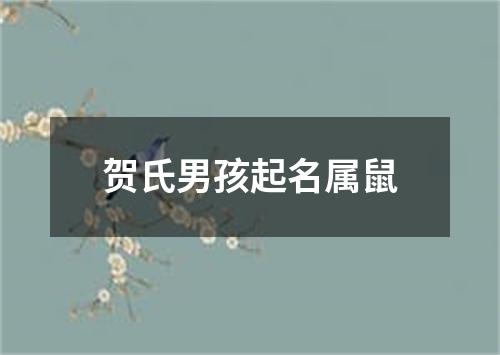 贺氏男孩起名属鼠