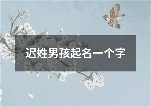 迟姓男孩起名一个字