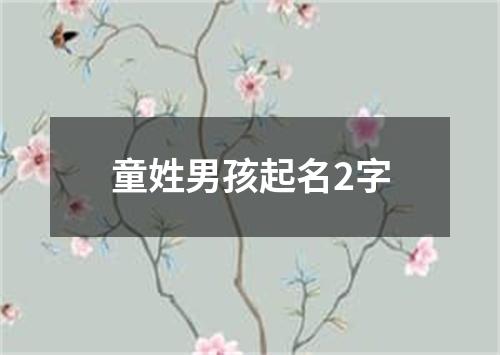 童姓男孩起名2字