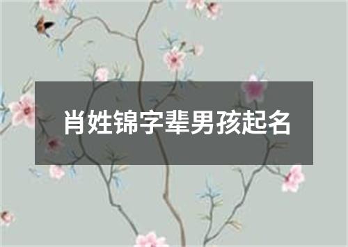 肖姓锦字辈男孩起名